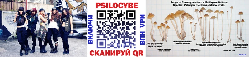 Псилоцибиновые грибы мухоморы ссылка на мегу tor Зуевка